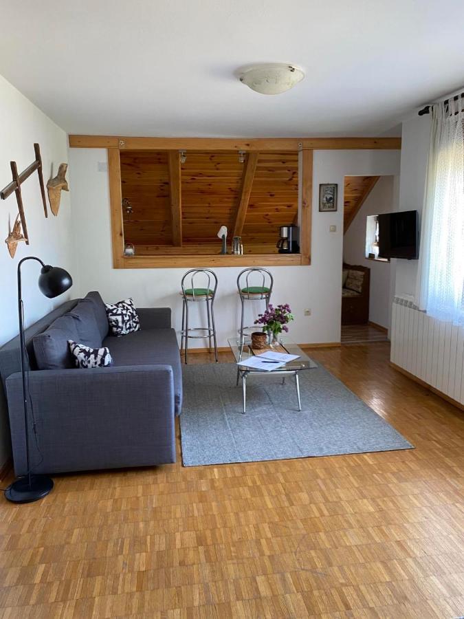 Apartmani Gruzdovo Delnice Exterior photo